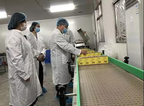 同心抗疫，确保质量！365电子游戏公司振隆厂表车间接受广药集团出产监督保险幼组工作督导