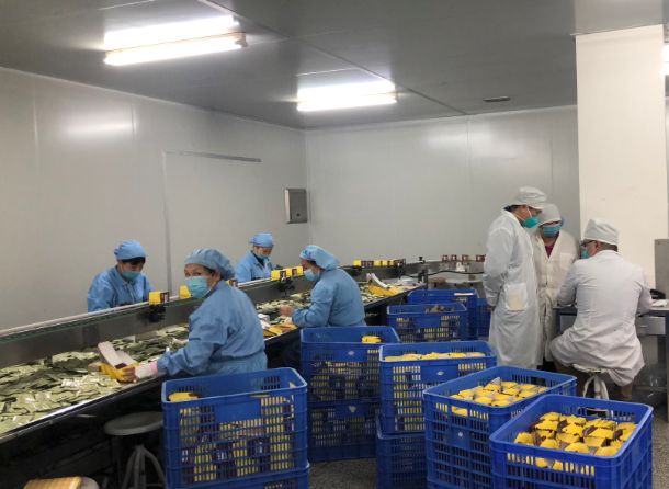 【初心如磐，使命在肩】365电子游戏第三党支部组织员工提前复工保险出产